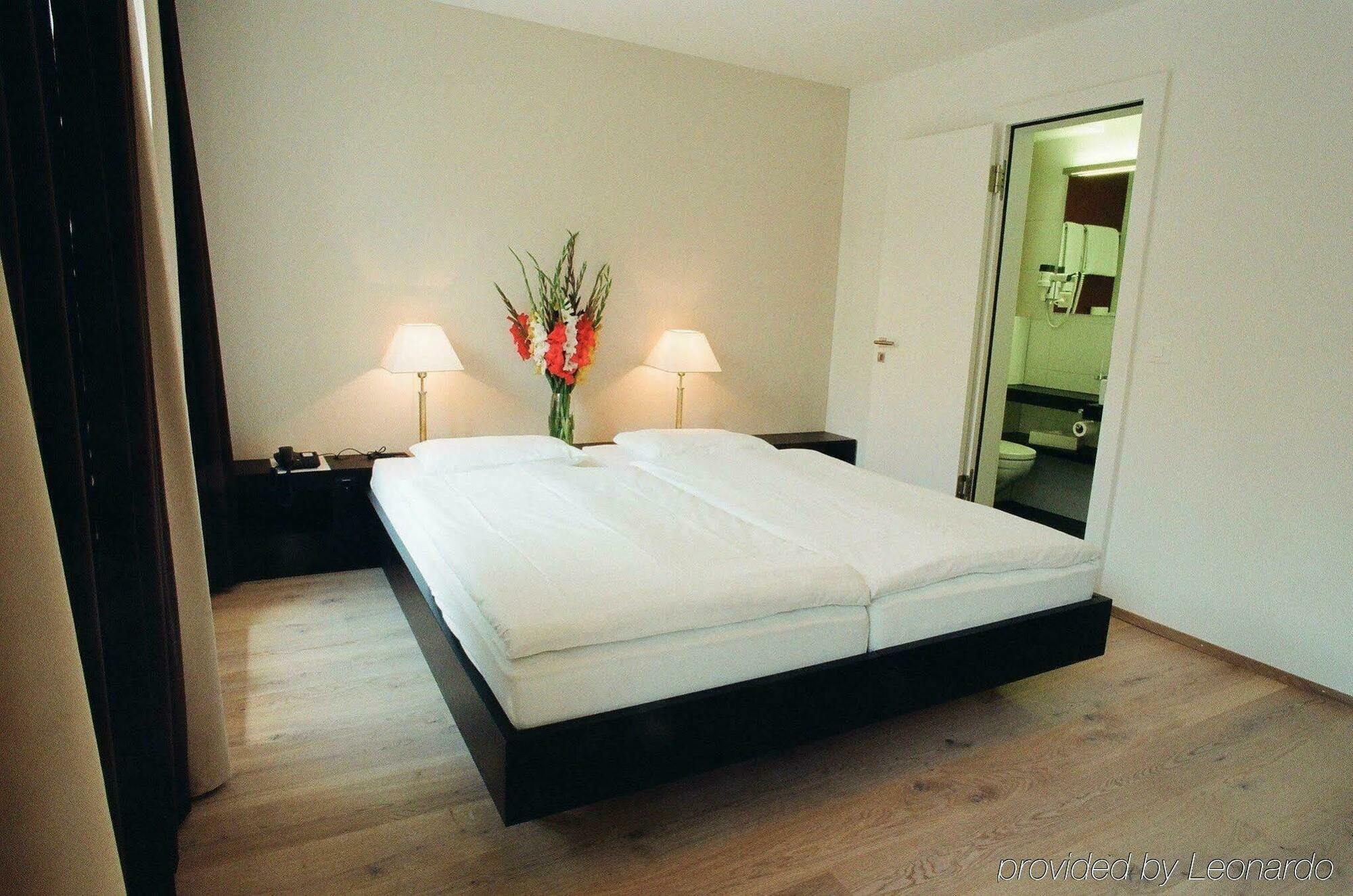 Alpina Hotel 3*